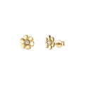 Orecchini Bliss collezione My wonder 20104844