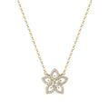 Collana Rosato RZGA84
