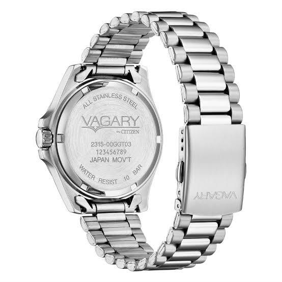 Orologio Vagary by CITIZEN Aqua39 Solotempo VD5-317-41